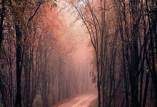 开云体育中国-恩菲尔德球员伤愈归队，阵容进一步完整