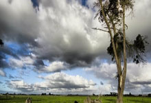 开云体育在线-卡尔蒂斯防守细节优化，力求稳固后防