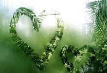 开云体育官方网站-水晶宫惊天大逆转！从地狱到天堂的90分钟，永不放弃的足球诗篇