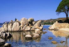 开云体育app-绿衫军新引擎！霍勒迪首秀引爆北岸花园，球迷高呼冠军拼图