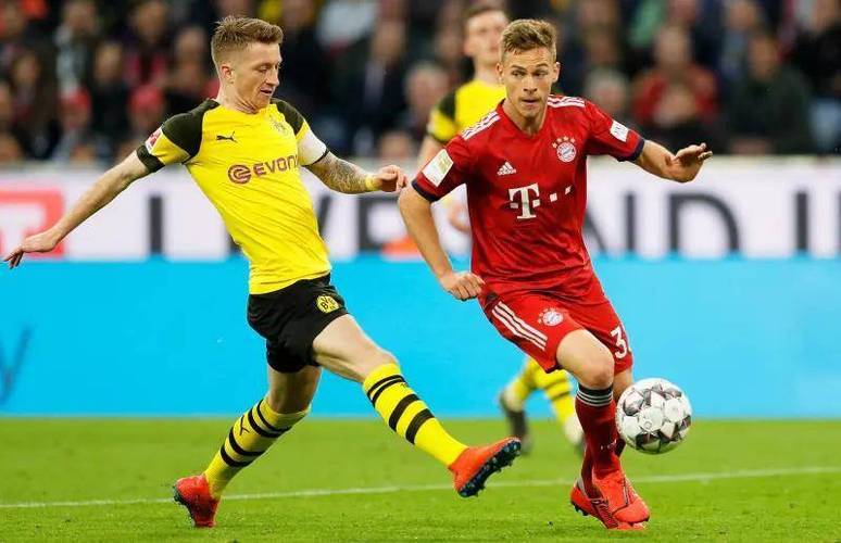 开云体育下载-关于拜仁慕尼黑主场轻松击败挑战者，保持领先优势的信息