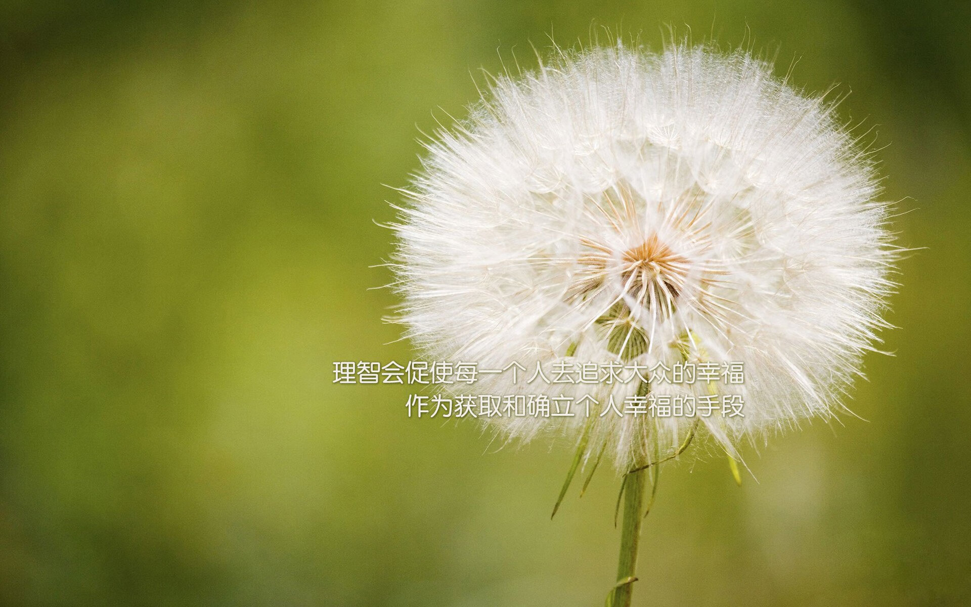 范弗利特单节狂飙主宰比赛，活塞凭借爆发性攻势一举拉开奇才