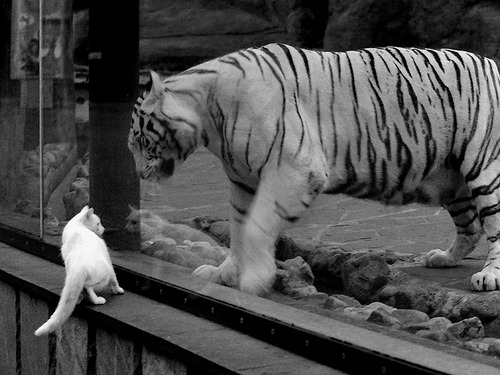 跨越大西洋的双重奏，当76人击穿老鹰，霍勒迪在亚平宁接管比赛