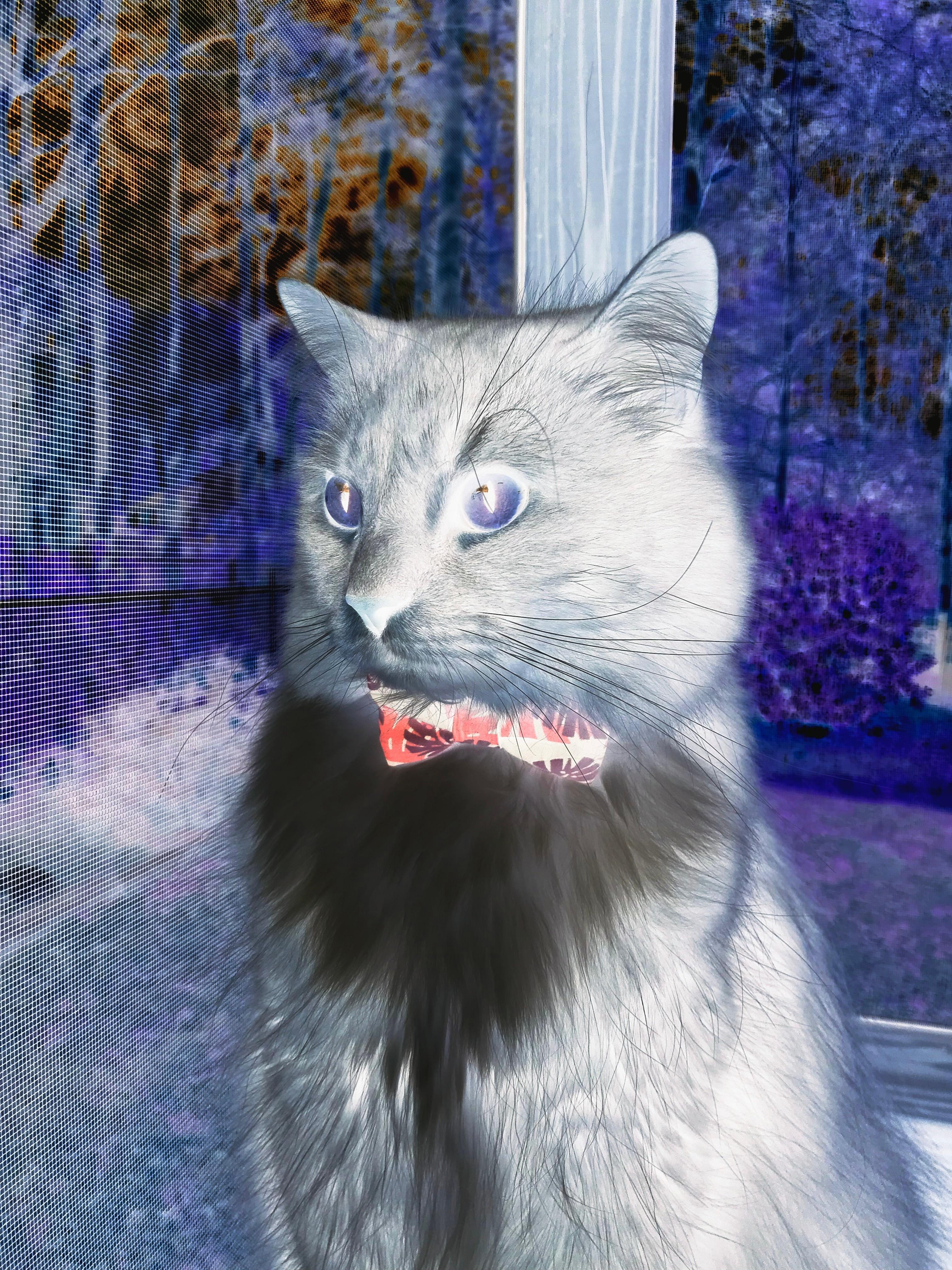 开云体育下载-冰与火的对决，欧冠决赛韩国铜墙铁壁锁死摩洛哥狂飙突进