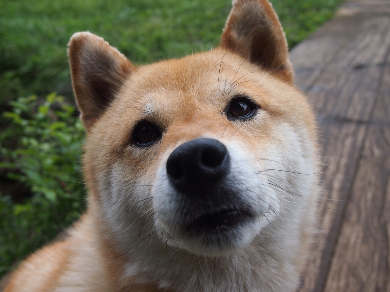 开云APP-世界排名争夺战之夜，当本泽马化身叹息之墙