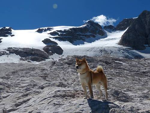 西甲悬念终结夜，巴萨狂胜锁冠军 莫德里奇关键先生徒留悲壮