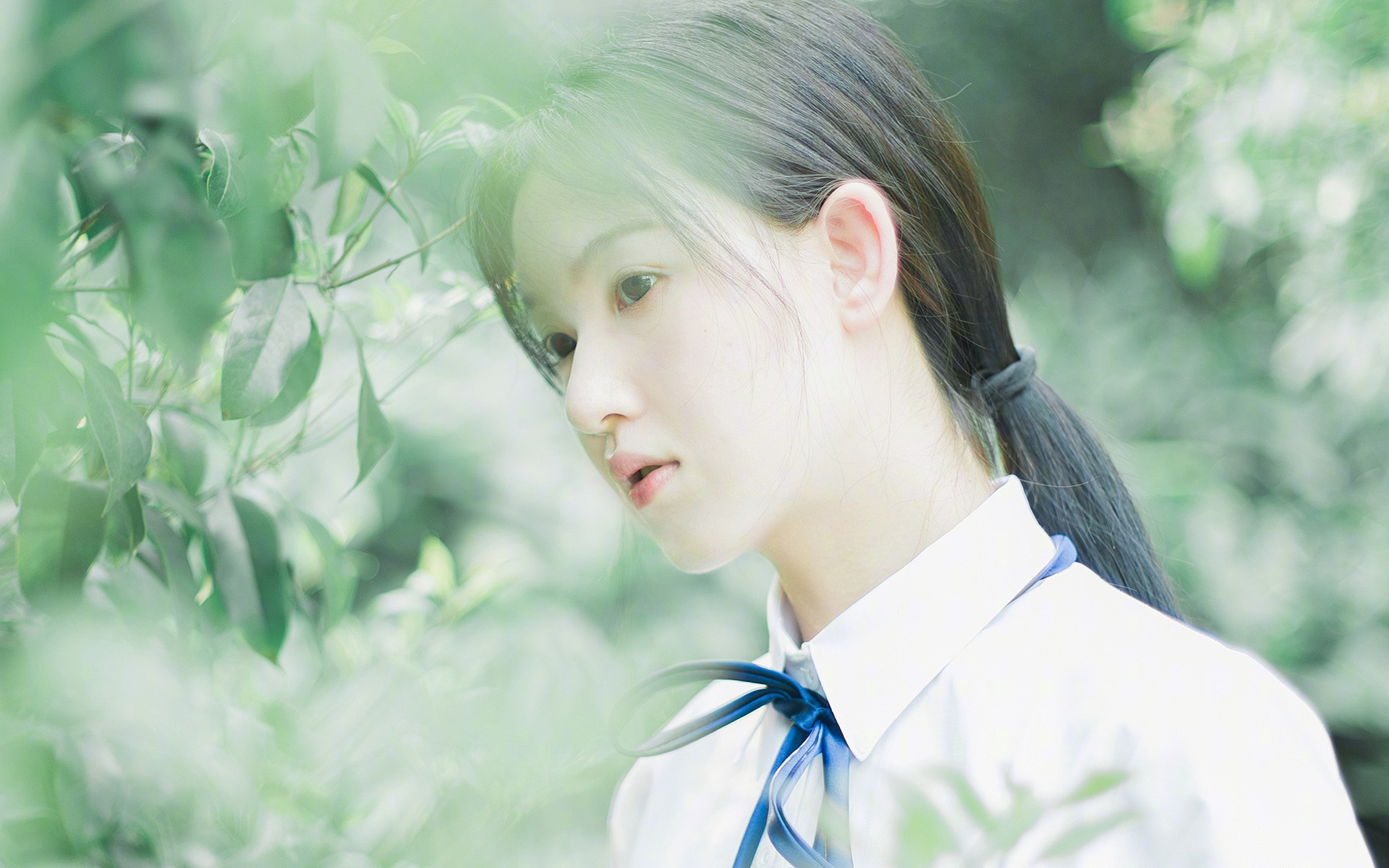 开云下载-逆袭之夜，当玻利维亚之盾撞碎巴西利刃，奥利维耶如何定义压制？