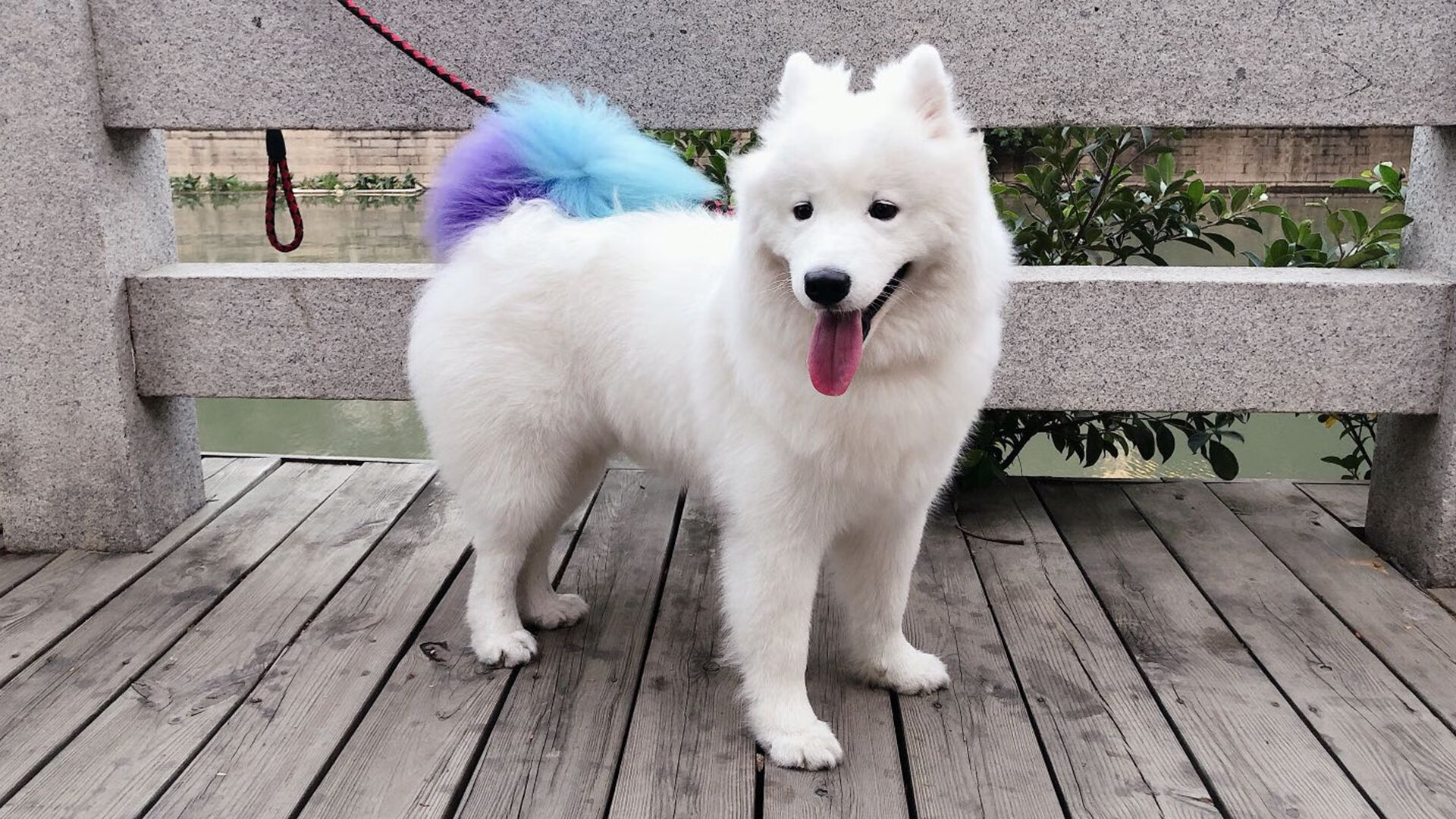 巴尔韦德,一个人的中场战场,沙特,一支队的致命十分钟